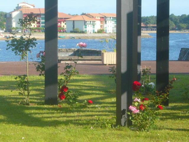 Appartements A Cote Lac Marin De Port D'Albret Vieux-Boucau-les-Bains Pokoj fotografie